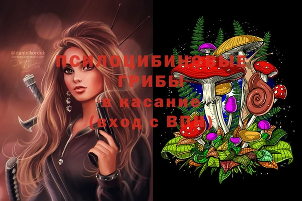 стафф Алзамай