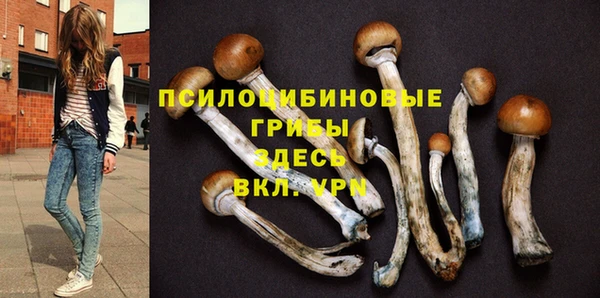 гашишное масло Алексеевка
