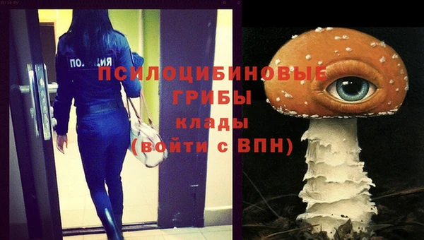 синтетический гашиш Алексин