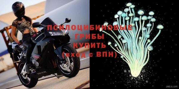 стафф Алзамай