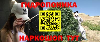 молекула духа Ноябрьск