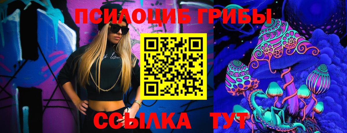 Шадринск  Псилоцибиновые грибы мухоморы  Вход с VPN 
