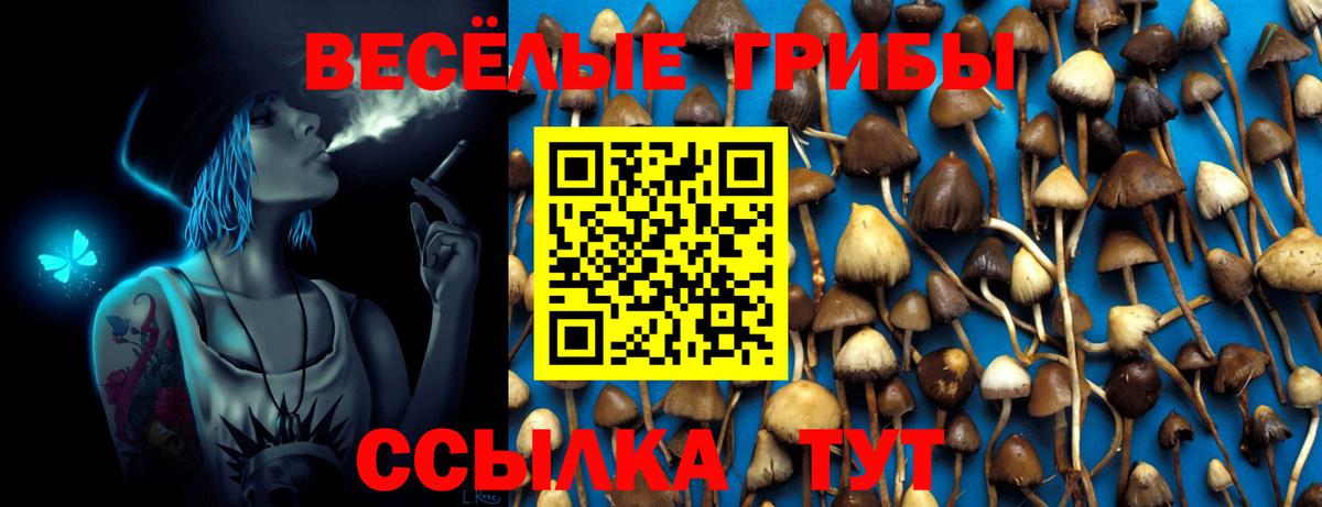 Галлюциногенные грибы ЛСД Шадринск